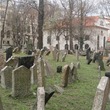 ces-pha 029.JPG